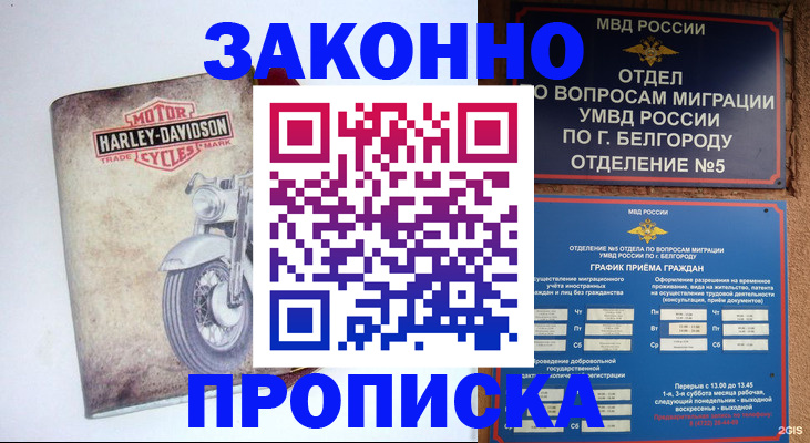 прописка для школы в Курчалом